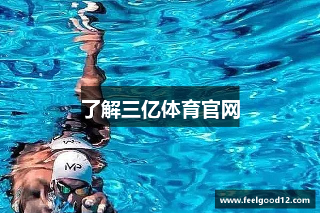 了解三亿体育官网